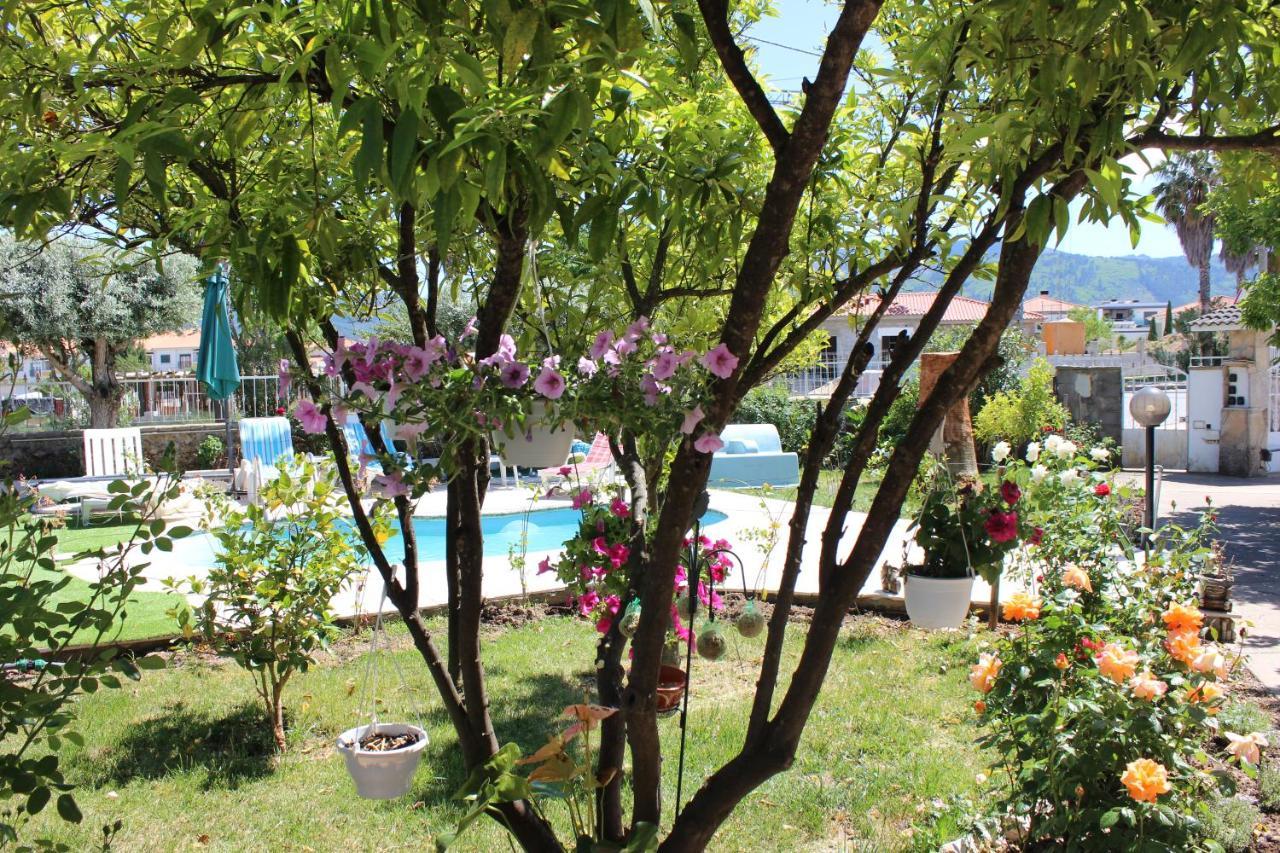 Quinta De Sao Marcos Guest House Fundao Bagian luar foto